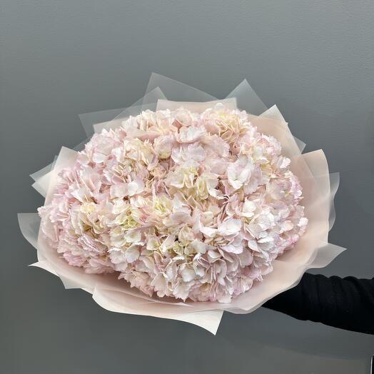 Ramo de 7 hortensias rosas