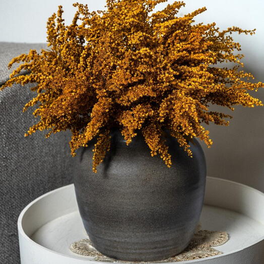 Золоте осіннє сяйво