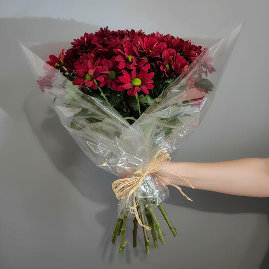 Ramo margaritas rojas