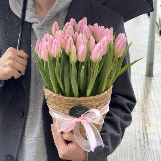 Aurora 51 tulipanes rosas