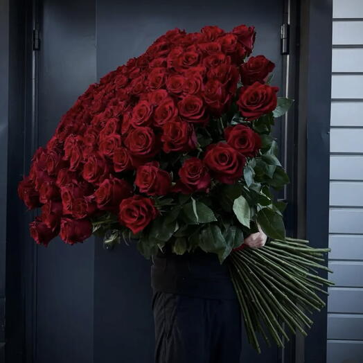 100 rosas tallo largo (70cm)