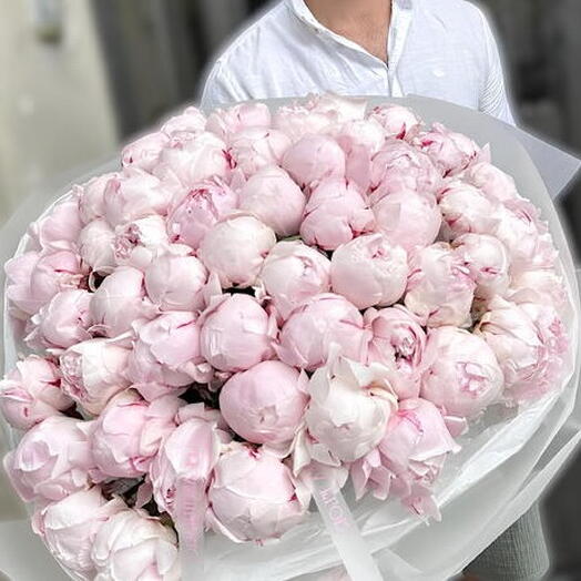 55 peonías rosas