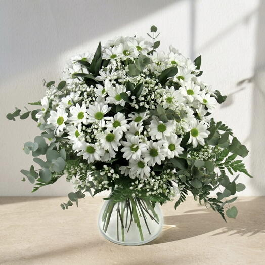 Ramo de Margaritas Blancas con Verdes