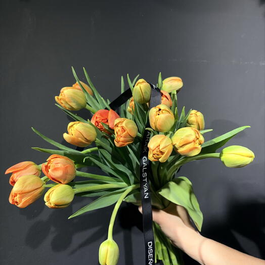Orange tulip