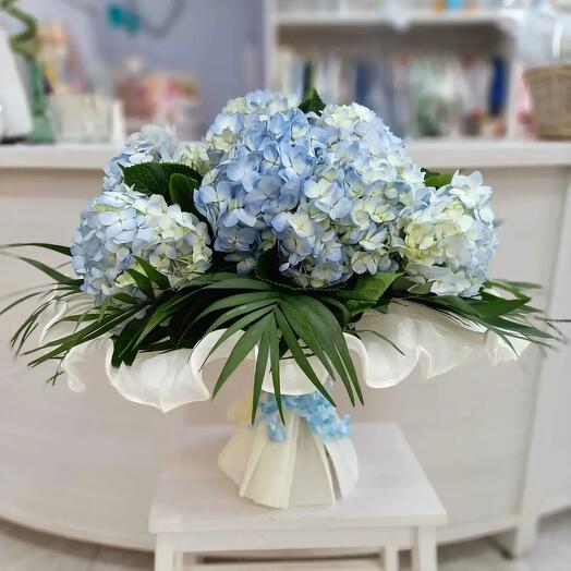 Ramo de Flores Hortensias Azules – Elegancia Voluminosa y Serenidad Floral