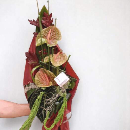 Bouquets with three green Anthuriums