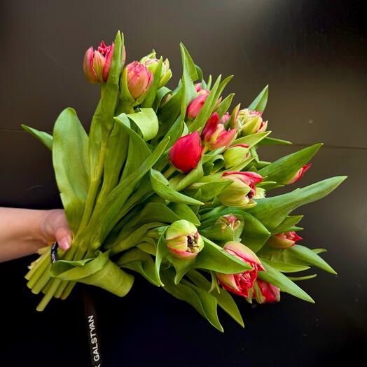 Bouquet of red velvet tulips 41 pcs