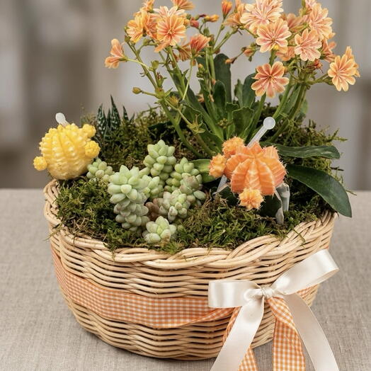 Cesta primavera elegancia silvestre