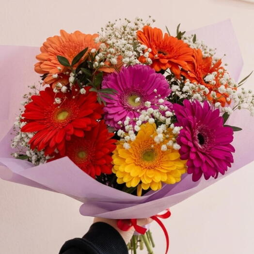 Ramo 8 gerberas colores