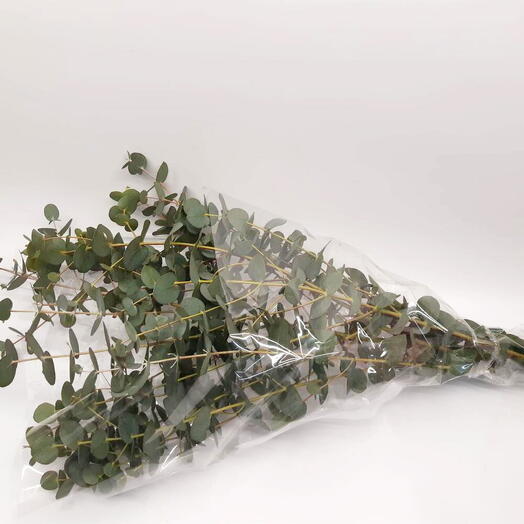 Paquete de eucalipto