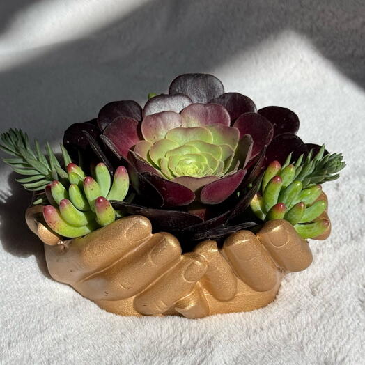 Manos con suculentas oro