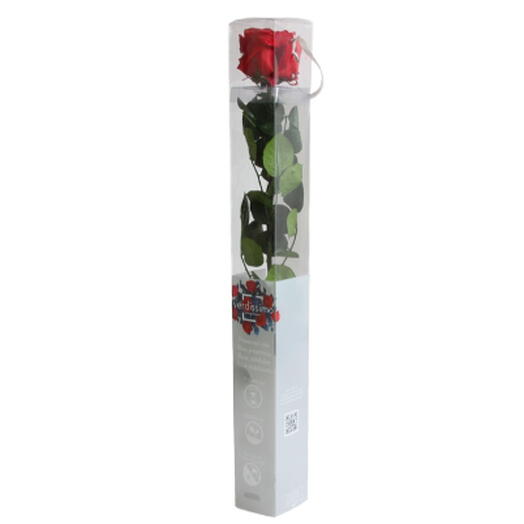 Premium Preserved Rose