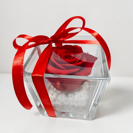 Rosa preservada roja