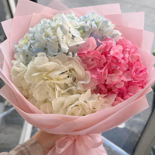 Ramito de hortensias diferentes