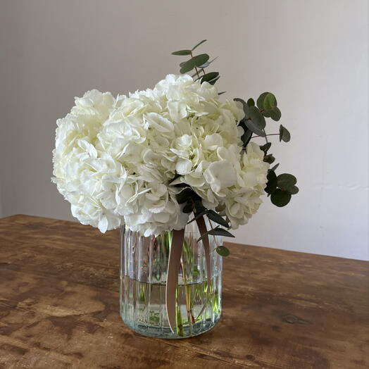 Hortensias blancas en jarron