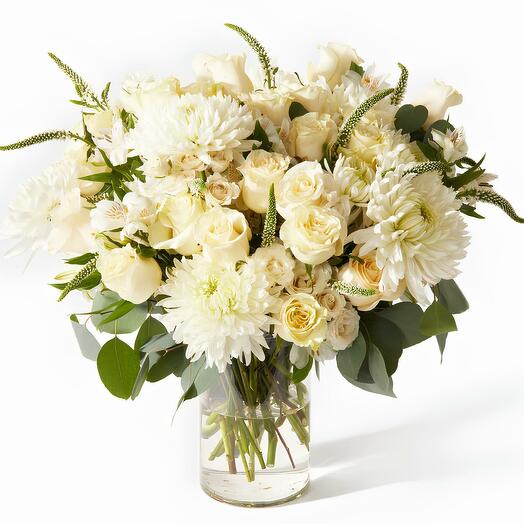 🌼Звёздный свет