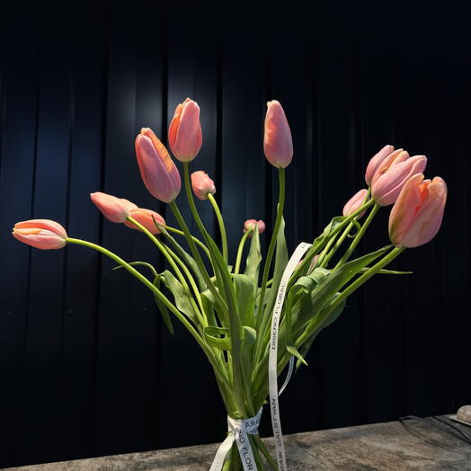 Tulipanes frances 15ud