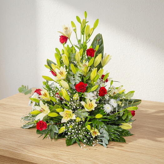 Composicion Luz y Recuerdo