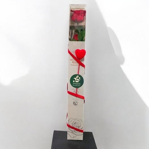 Rose rouge éternelle dans une grande boîte
