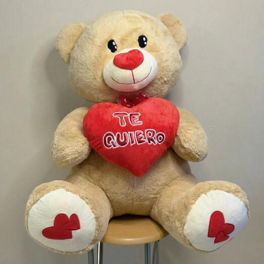 Peluche Te Quiero