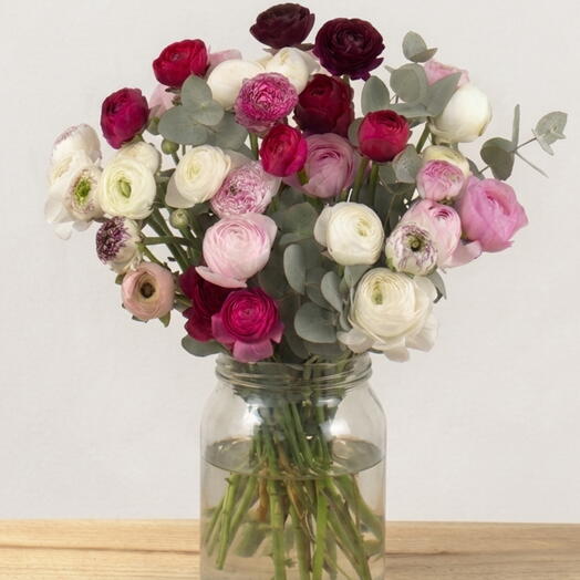 Bouquet of Mixed Ranunculus and Eucalyptus | 16 stems