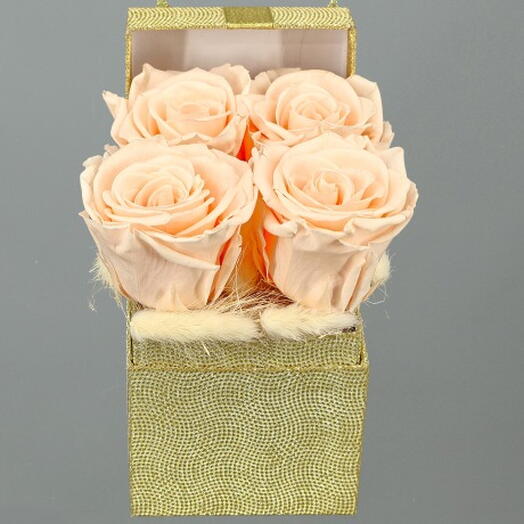 Caja de rosas preservadas