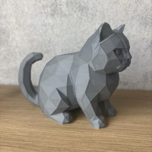 Riski