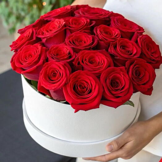 19 Rosas rojas en caja