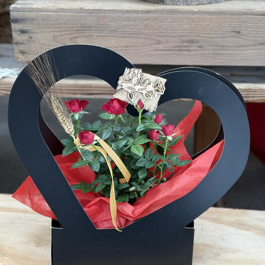 Rosal pitimini corazon