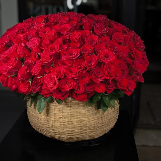 Cesta de rosas rojas, 500 rosas