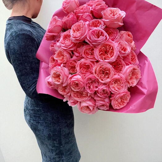 Rosas de jardin pink expression