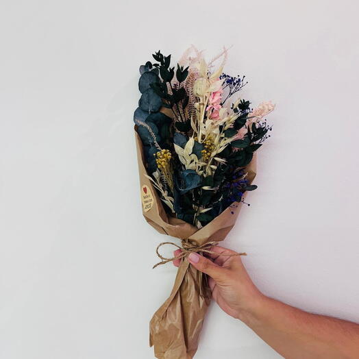 Дика Аврора