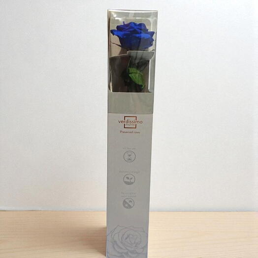 Flor premium preservada