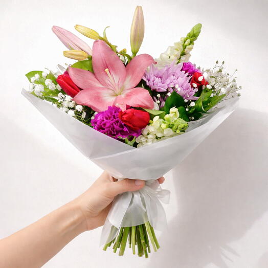 Suscripcion – Armonia de Colores