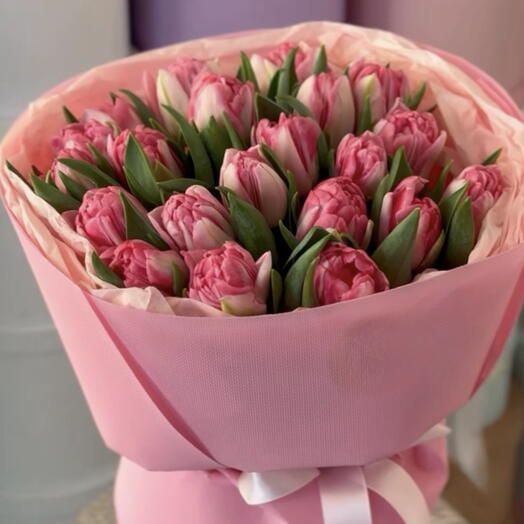 Tulips 🌷