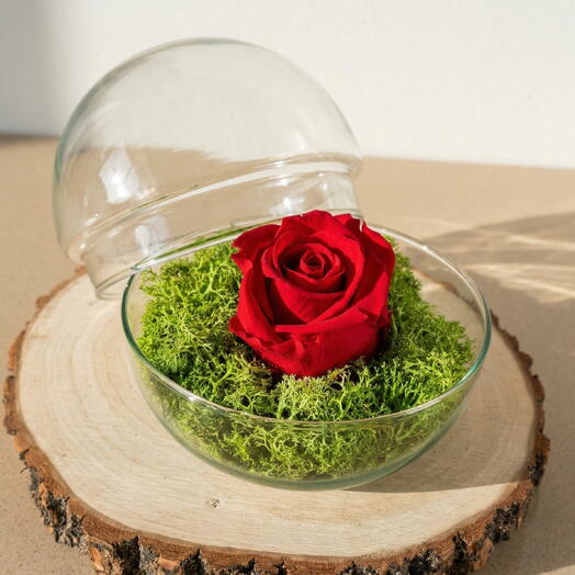 Glass dome with preserved red rose – Romantic and long-lasting gift