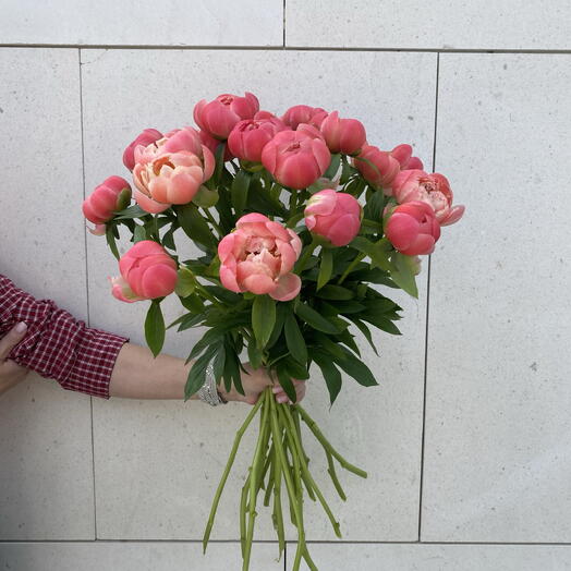 Peony elegance *21