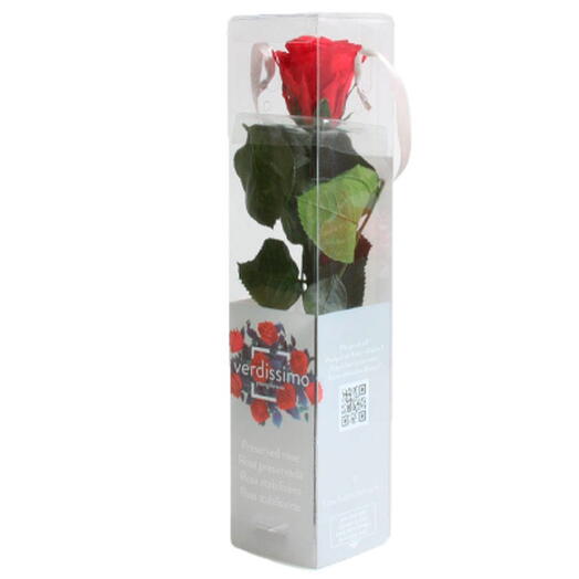 Mini preserved rose