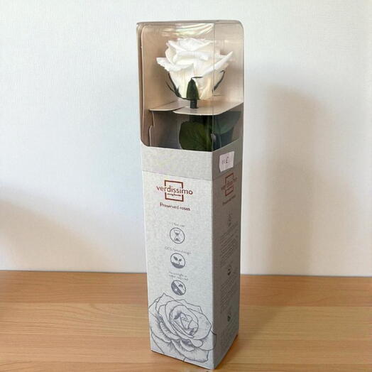 Rosa preservada blanca