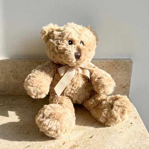 Oso de Peluche Larry pequeno