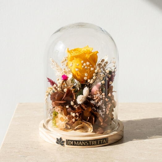 Красавица и Чудовище