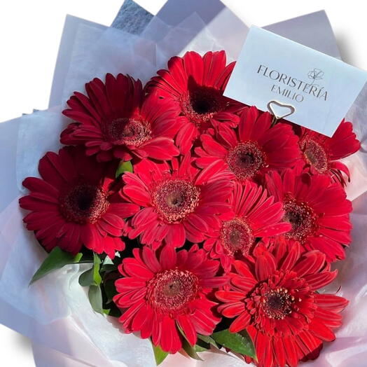 Ramo 10 gerberas
