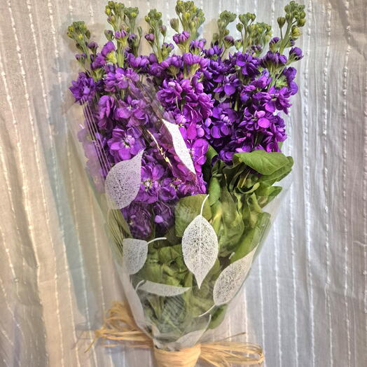 Ramo de Alheli morado