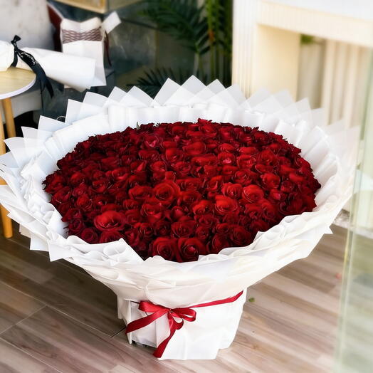 300 roses rouges