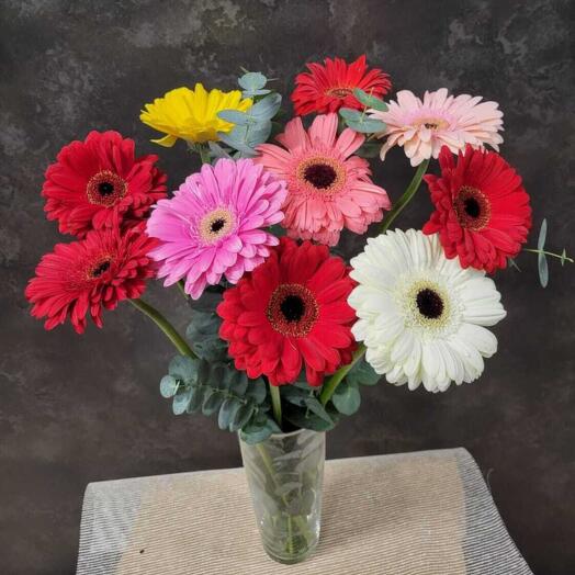 Ramo de 10 gerberas variadas con verdes helechos de cuero