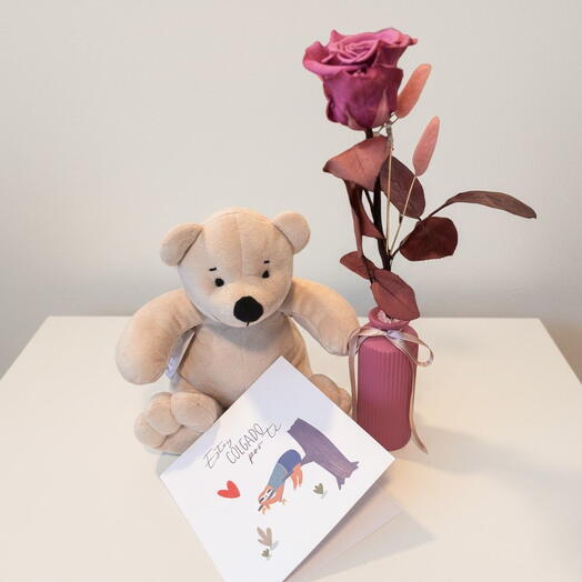 Rose, teddy bear and postcard