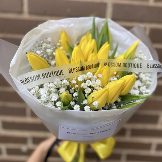 17 tulipanes amarillos / Amanecer de Tulipanes: