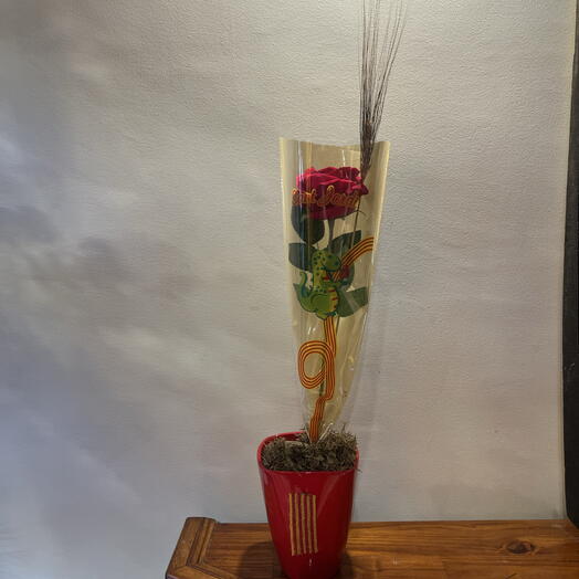 Rosa de Sant Jordi clásica