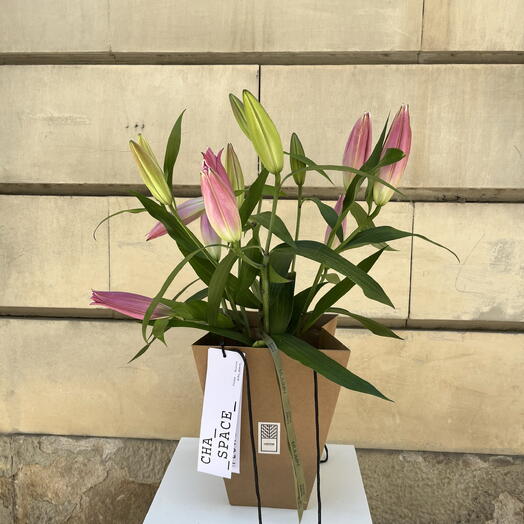 Jarron con flores-32