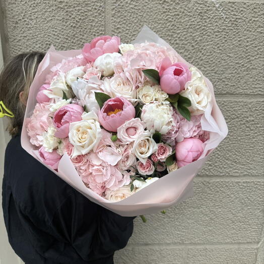 Blush Peony